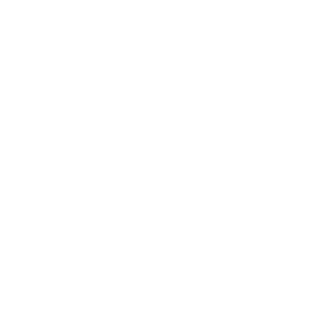 ds