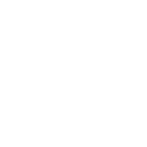 silverstone-473